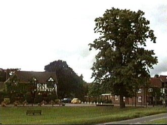 The Crown and the Jubilee Tree