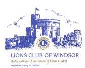 lions logo