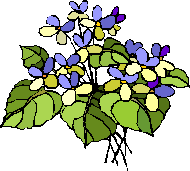 C:\Documents and Settings\Gill\Local Settings\Temporary Internet Files\Content.IE5\NPJKUFPC\MCj01232970000[1].wmf