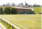 The Cricket Green