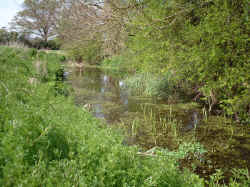  Strand Water (stream 4) - Brian Clews