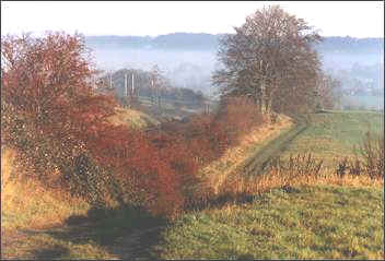 Golf Course Railway Cutting  Barry Weare MM