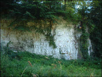 The old chalkpit signifies and aspect of our history but is also a haven for insects and bats