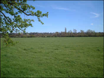 Widbrook, our largest Common and home to Goldfinches and Yellowhammers in summer, Swans, geese and Snipe in winter