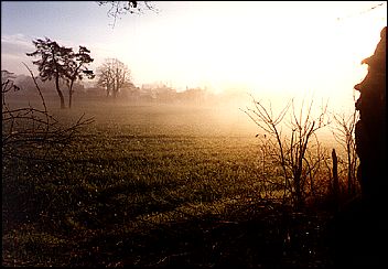 Poundfield Morning