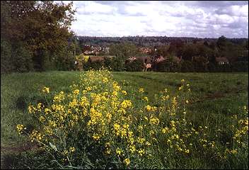 Poundfield Spring