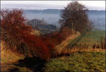 Late Autumn