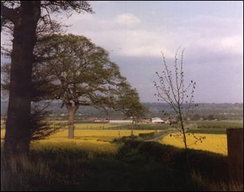Late Spring, Long Lane