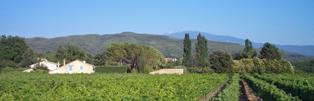 View of House from Road