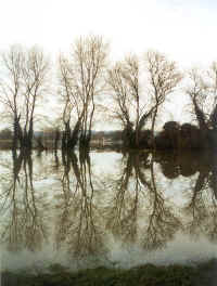 View to Marsh Meadow