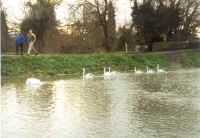 floods8.jpg (50146 bytes)