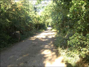 Lightlands Lane