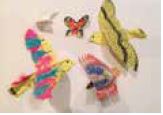 Bird and Butterfly
